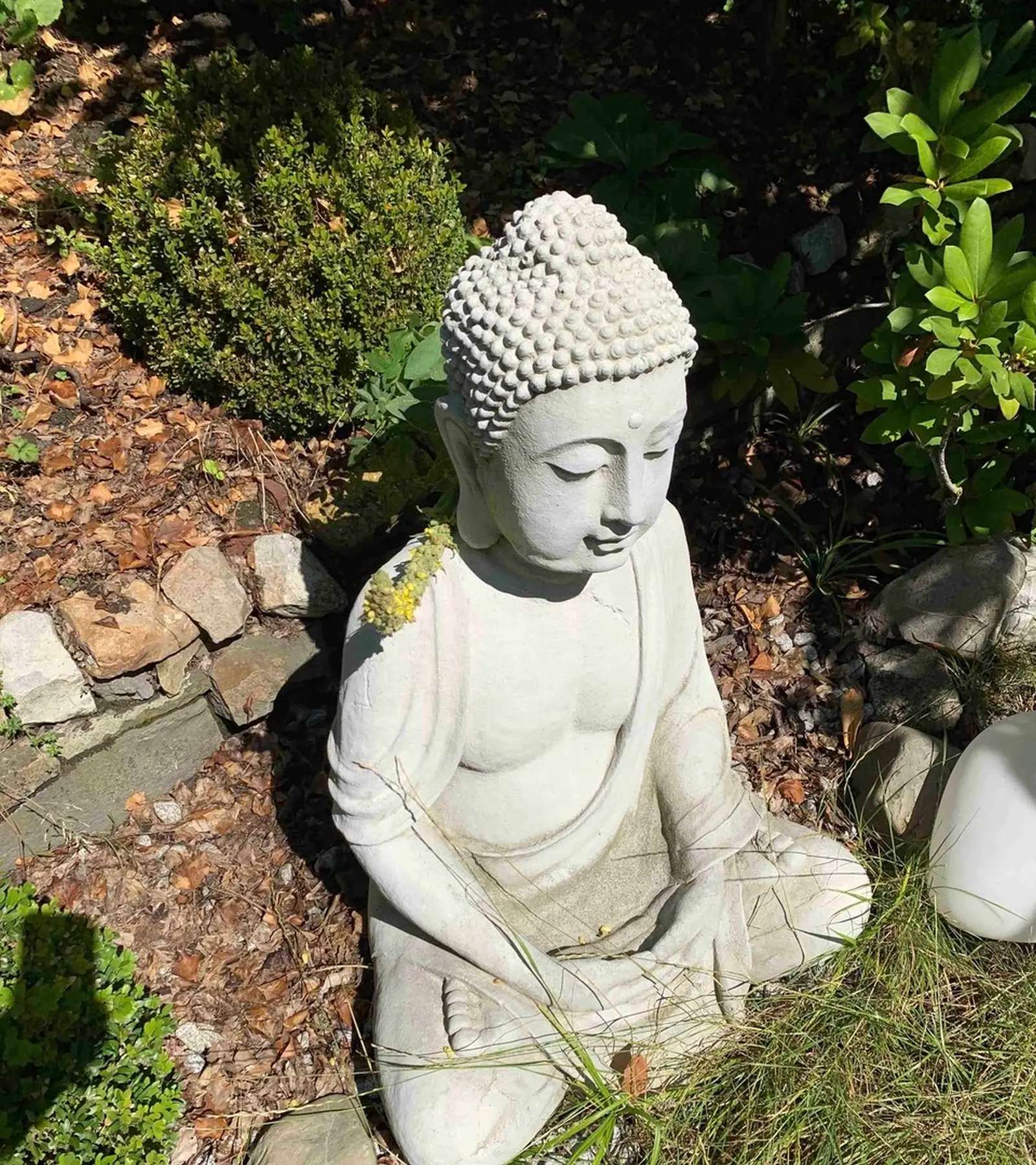 Promi-gartenModern / japanisch